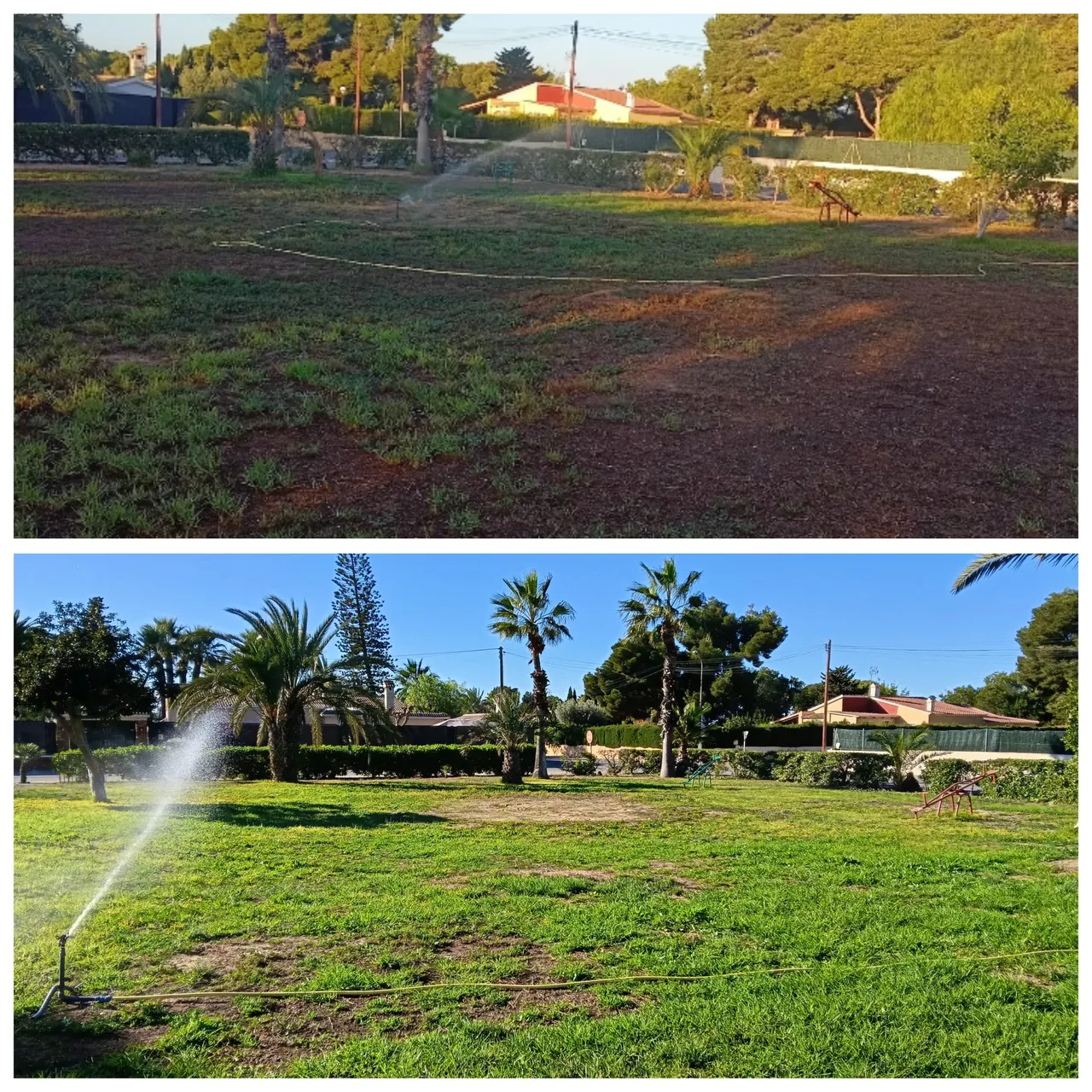 Antes y después de trabajos agrícolas